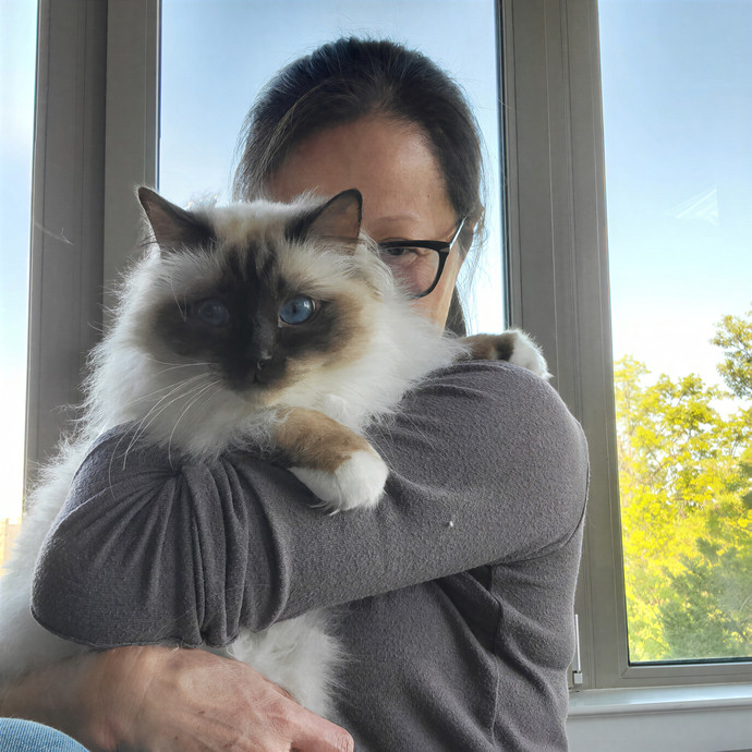 Caring Cat Concierge In Springfield