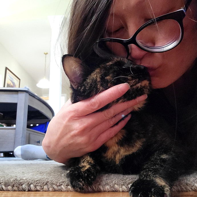 Caring Cat Concierge In Springfield