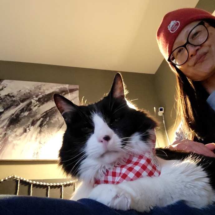 Caring Cat Concierge In Springfield