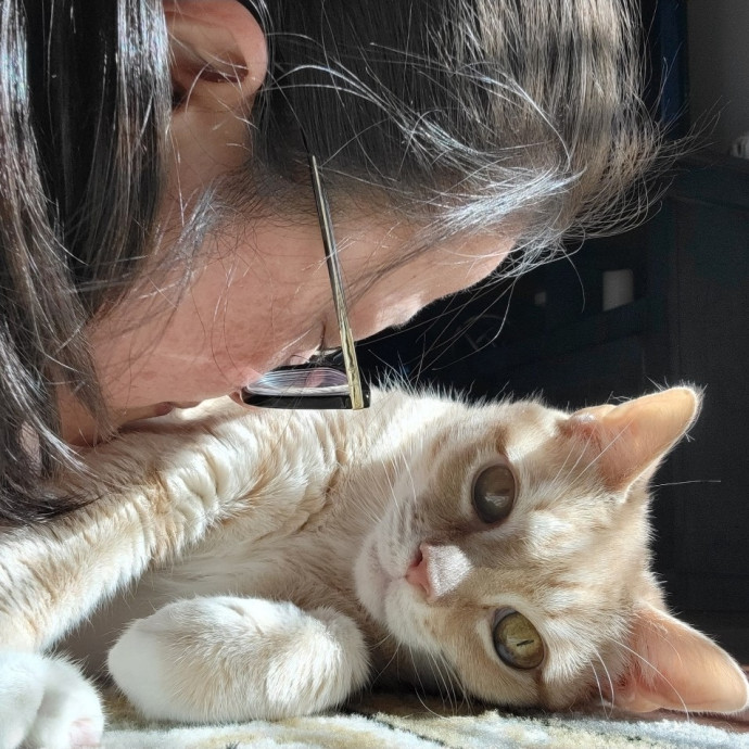 Caring Cat Concierge In Springfield