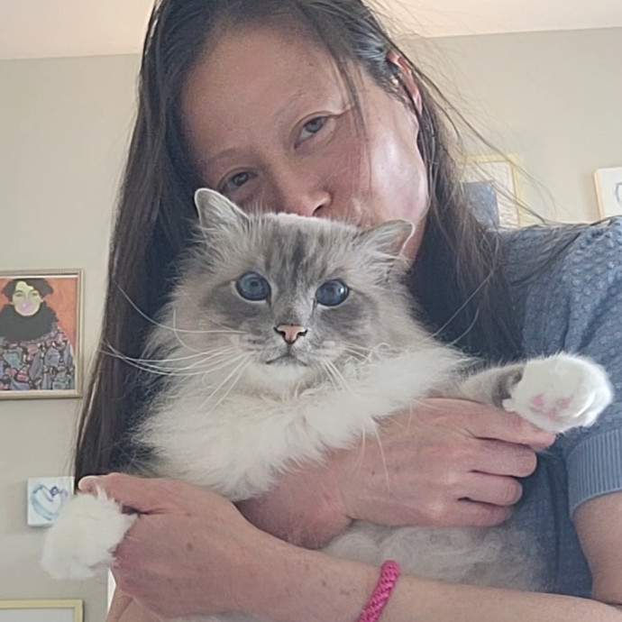 Caring Cat Concierge In Springfield