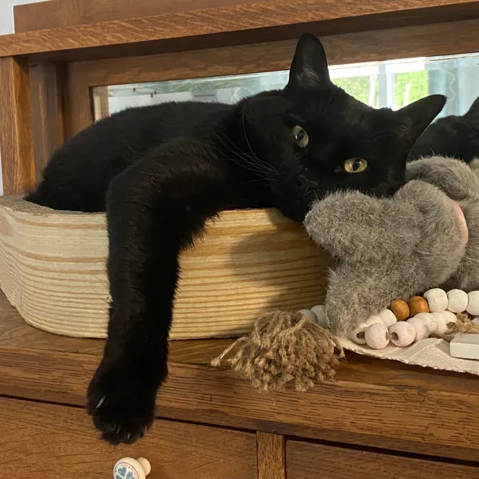 Caturday Night With Marissa