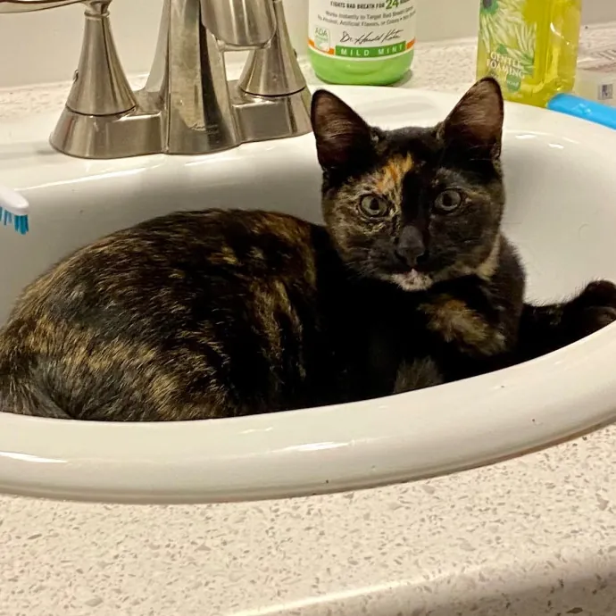 Caturday Night With Marissa