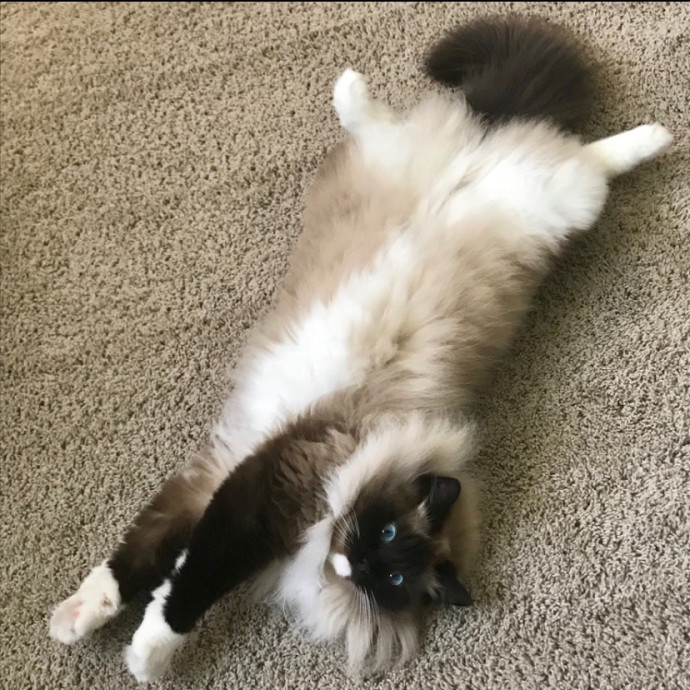 Caturday Night With Marissa