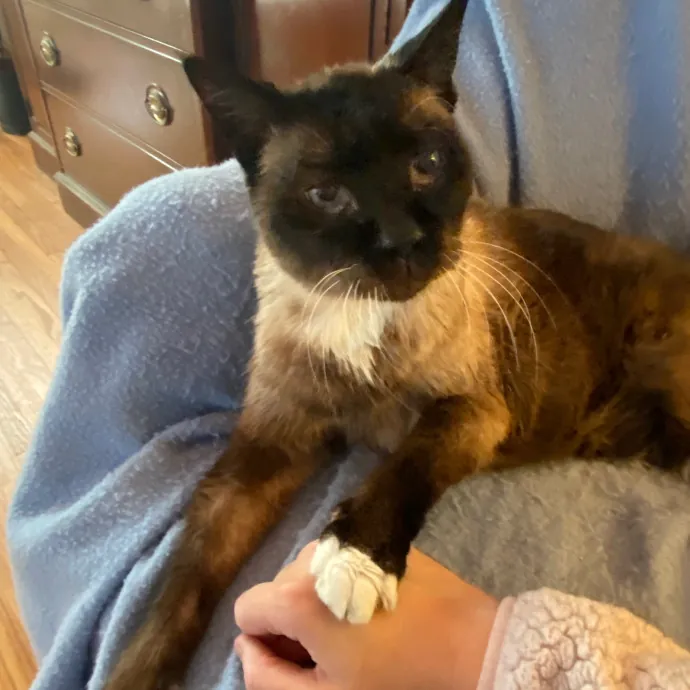 Caturday Night With Marissa