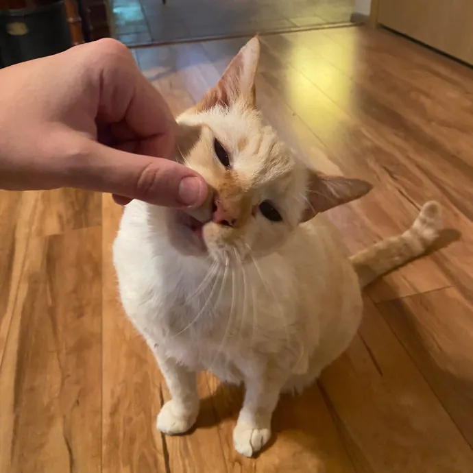 Caturday Night With Marissa