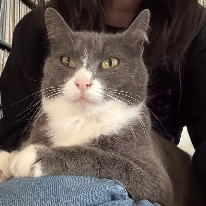 Caturday Night With Marissa