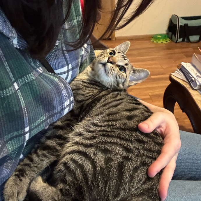 Caturday Night With Marissa