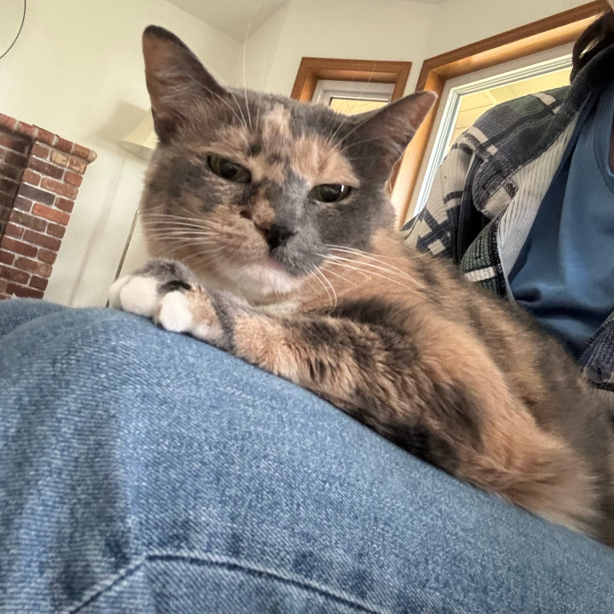 Caturday Night With Marissa photo 3