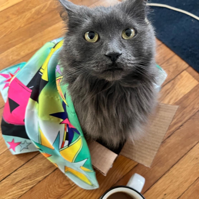 Caitflynn's Pawesome Sitting Service