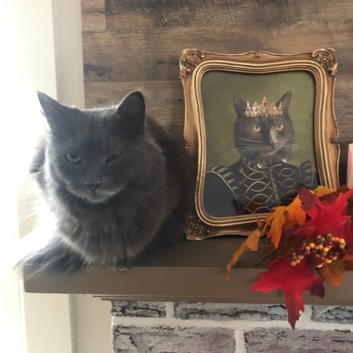 Caitflynn's Pawesome Sitting Service
