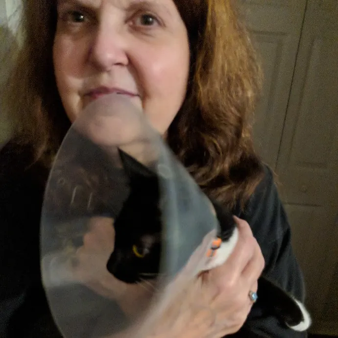 Your Cat's New Best Friend In Jax  Clay