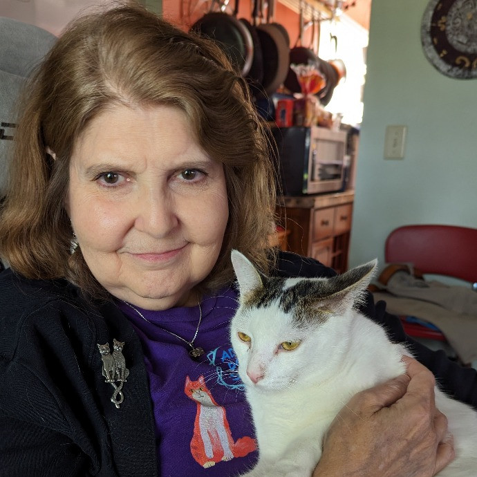 Your Cat's New Best Friend In Jax  Clay