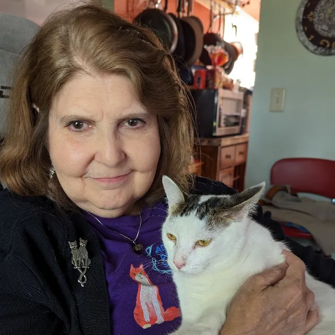 Your Cat's New Best Friend In Jax  Clay