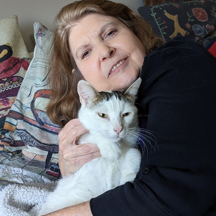 Your Cat's New Best Friend In Jax  Clay