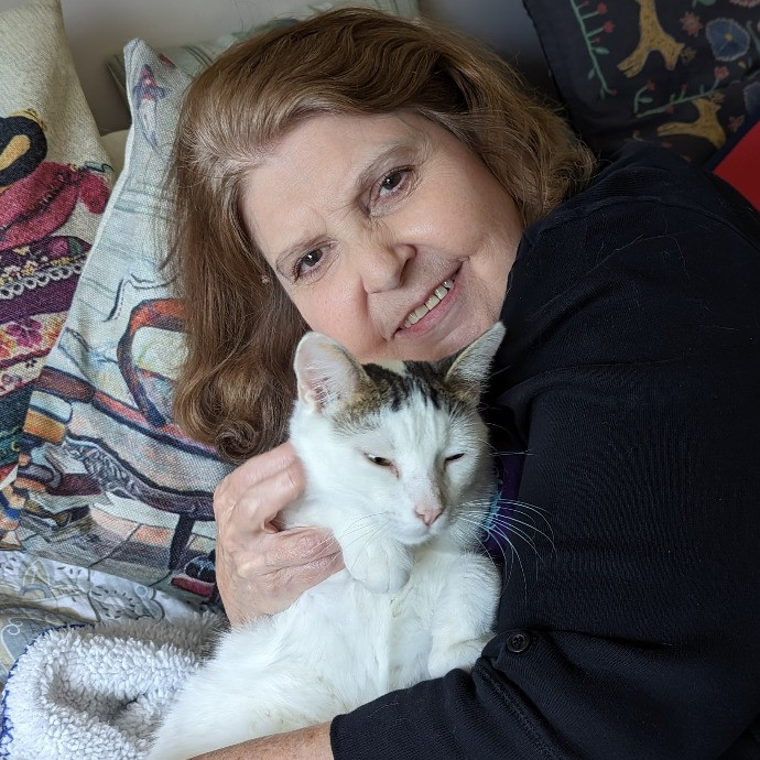 Your Cat's New Best Friend In Jax  Clay