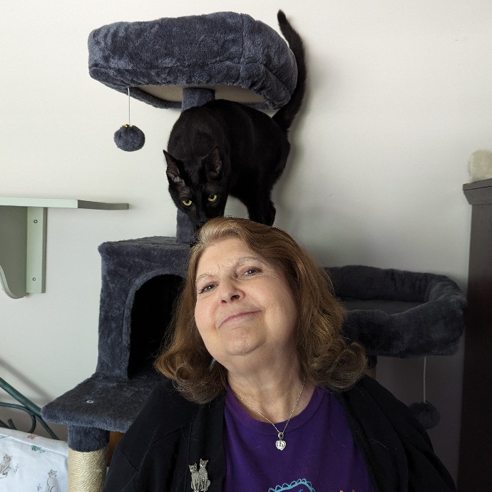 Your Cat's New Best Friend In Jax  Clay