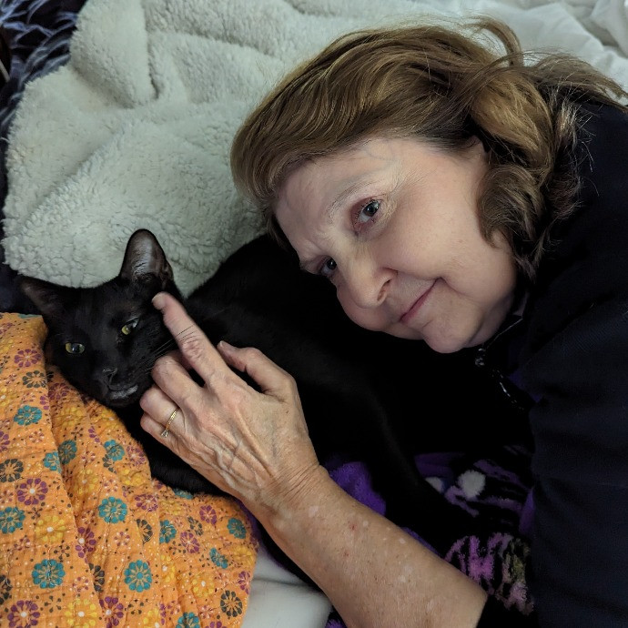Your Cat's New Best Friend In Jax  Clay photo 2