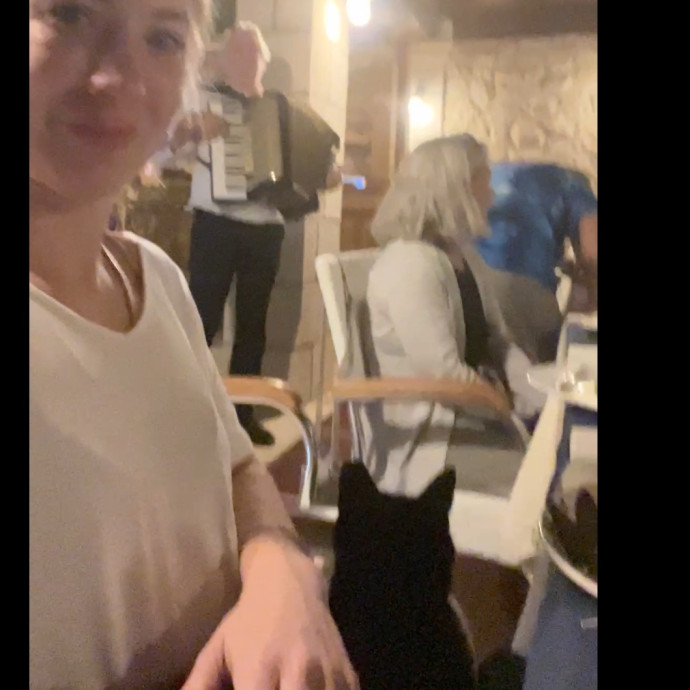 Feline Friendly Gal