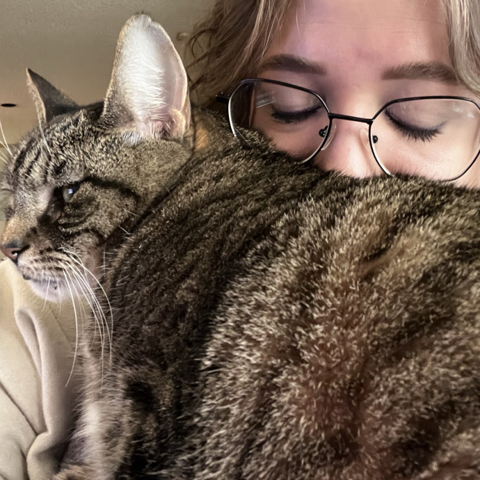 Morgan's Meow-Calypse