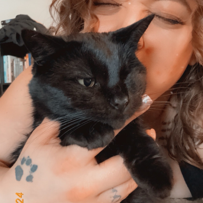 Morgan's Meow-Calypse photo 3