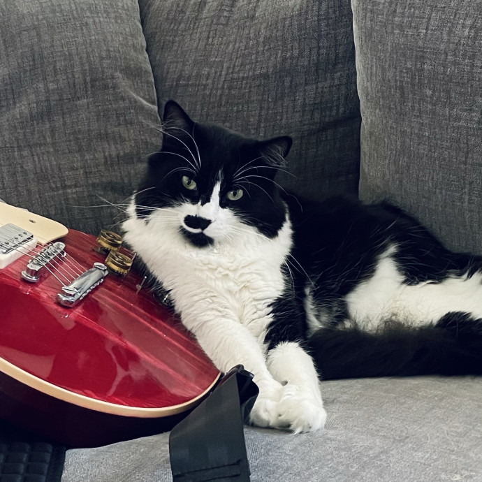 Pawsitively Dependable