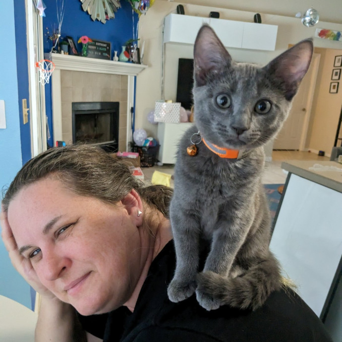 I Care For Your Cat Like Family