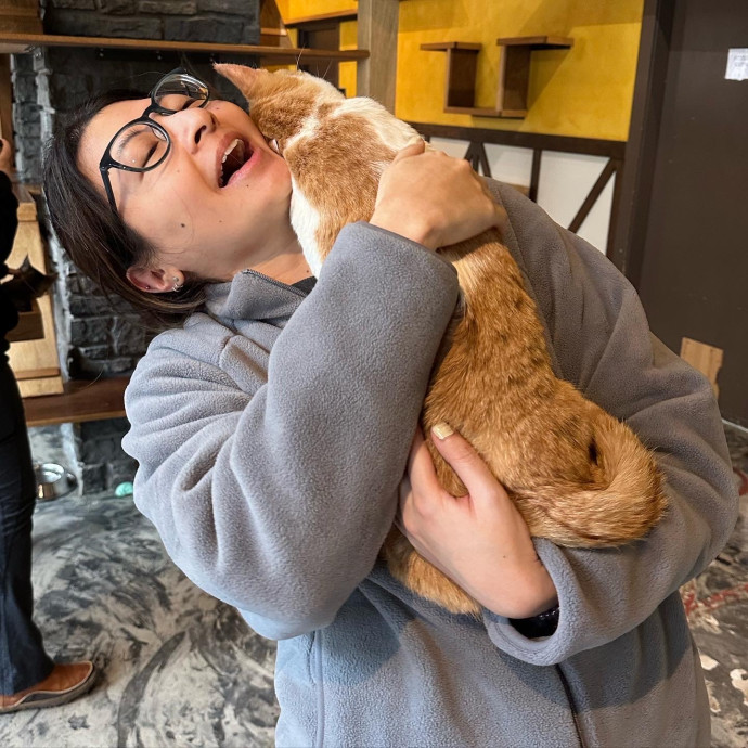 I Simply Love Cats