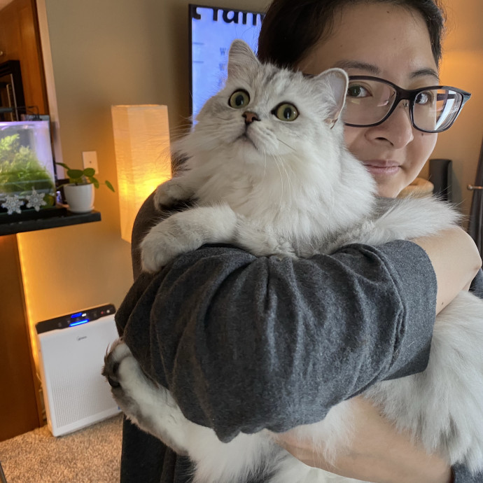 I Simply Love Cats photo 2