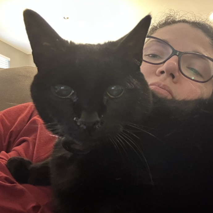 Cat Lover Wants To Love Your Cats