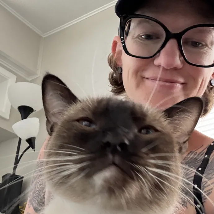 Veteran Cat Sitter - Mosh Pit Enthusiast