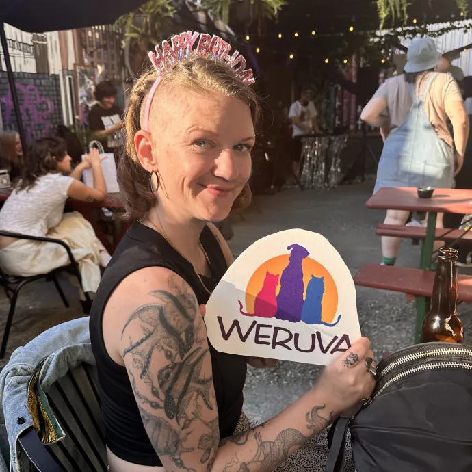 Veteran Cat Sitter - Mosh Pit Enthusiast