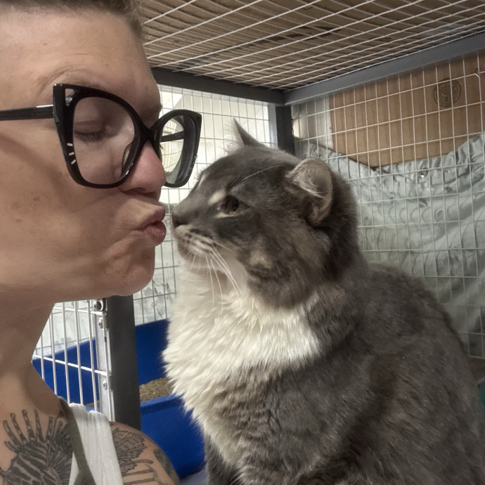 Veteran Cat Sitter - Mosh Pit Enthusiast