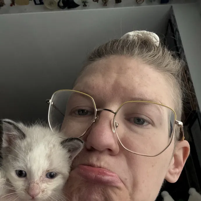 Veteran Cat Sitter - Mosh Pit Enthusiast