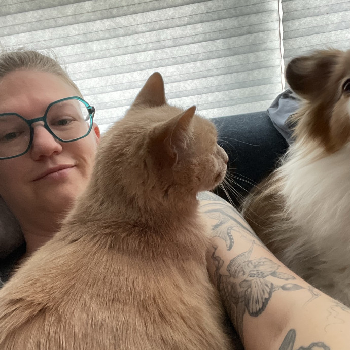 Veteran Cat Sitter - Mosh Pit Enthusiast