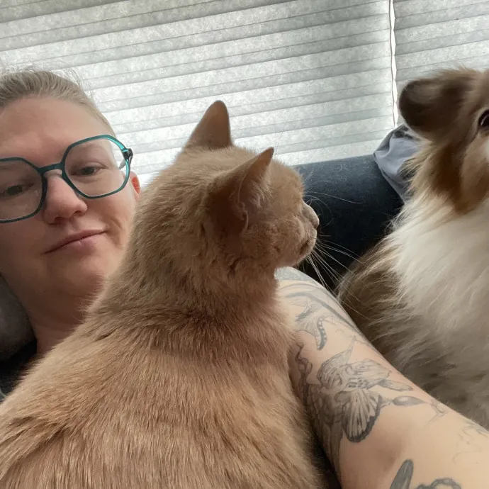 Veteran Cat Sitter - Mosh Pit Enthusiast