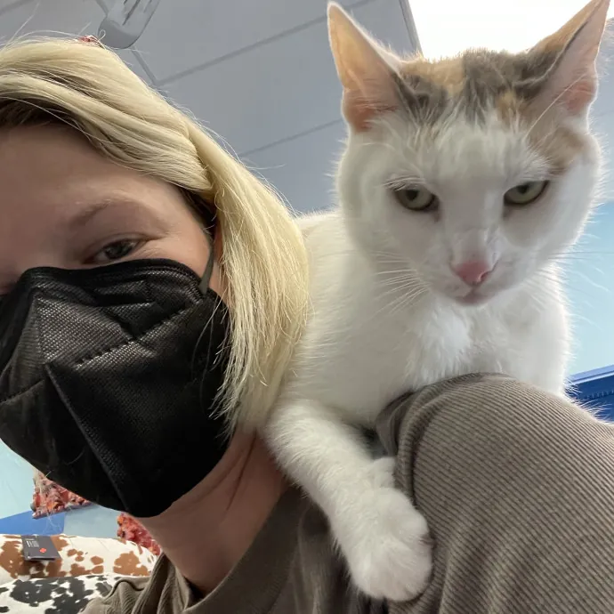 Veteran Cat Sitter - Mosh Pit Enthusiast