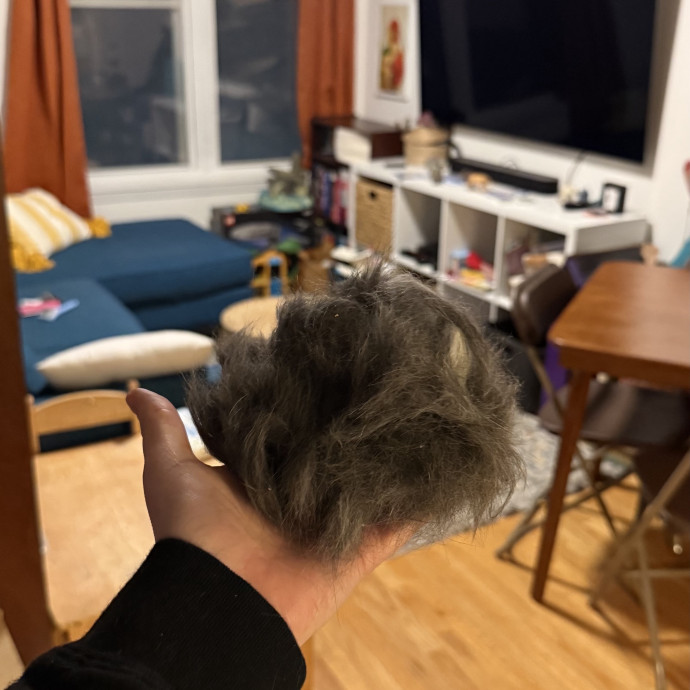Veteran Cat Sitter - Mosh Pit Enthusiast