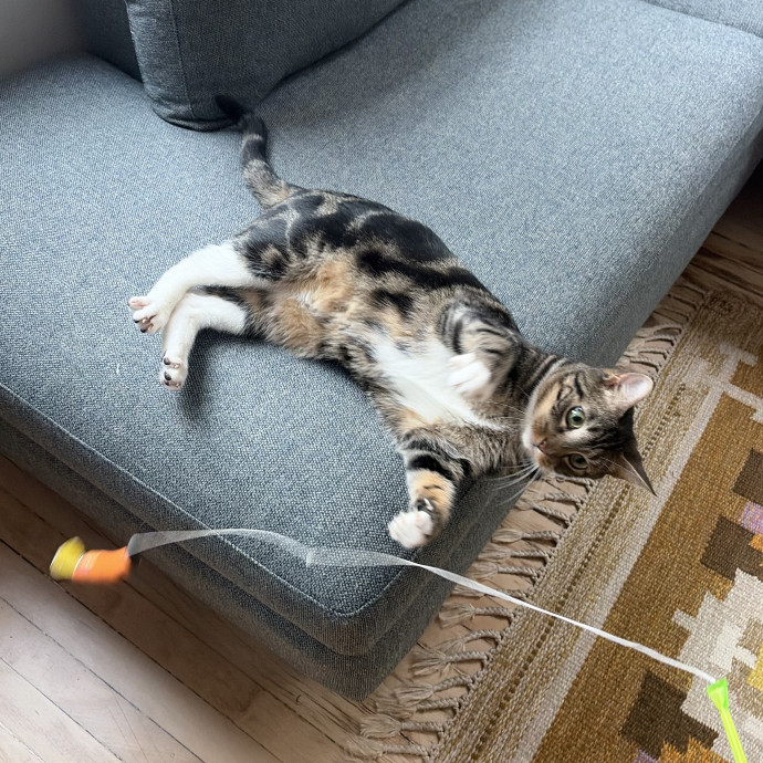 Mia P.