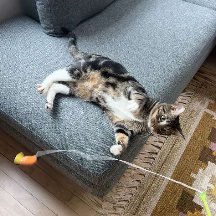 Mia P.