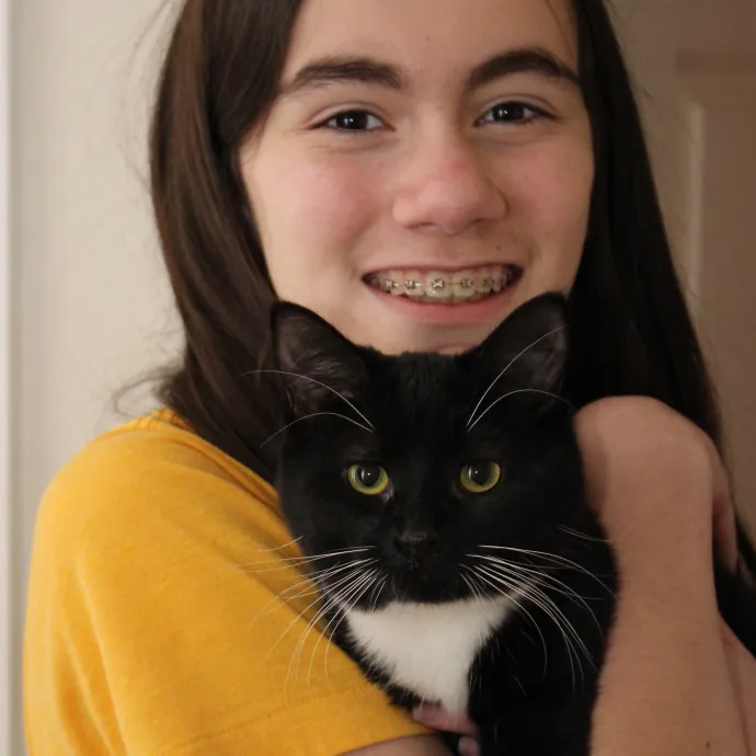 Kind Cat Care photo 4