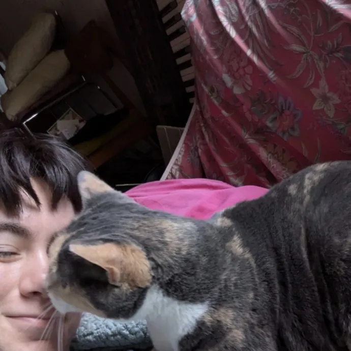 Kind Cat Care photo 2