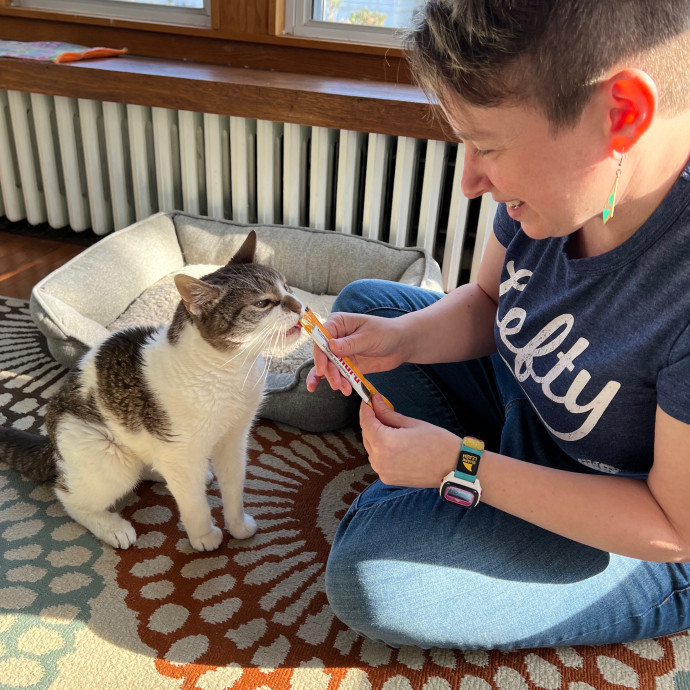 Jessica's Peace Of Mind Cat Sitting