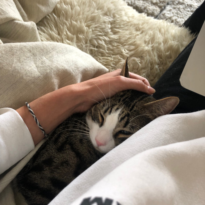 Loving Cat Aunty