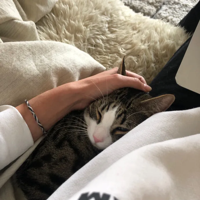 Loving Cat Aunty