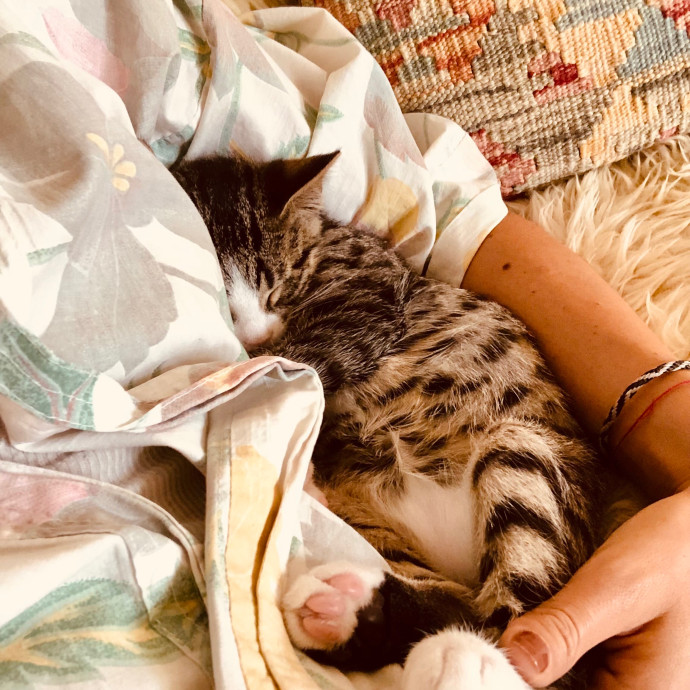Loving Cat Aunty