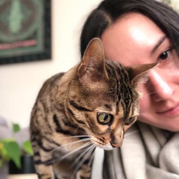 Loving Cat Aunty