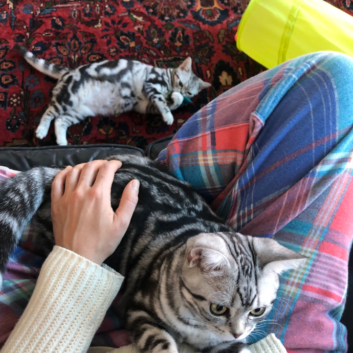 Loving Cat Aunty photo 2