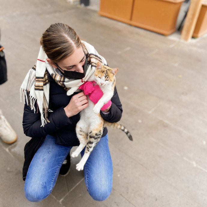 Catitude Care photo 3