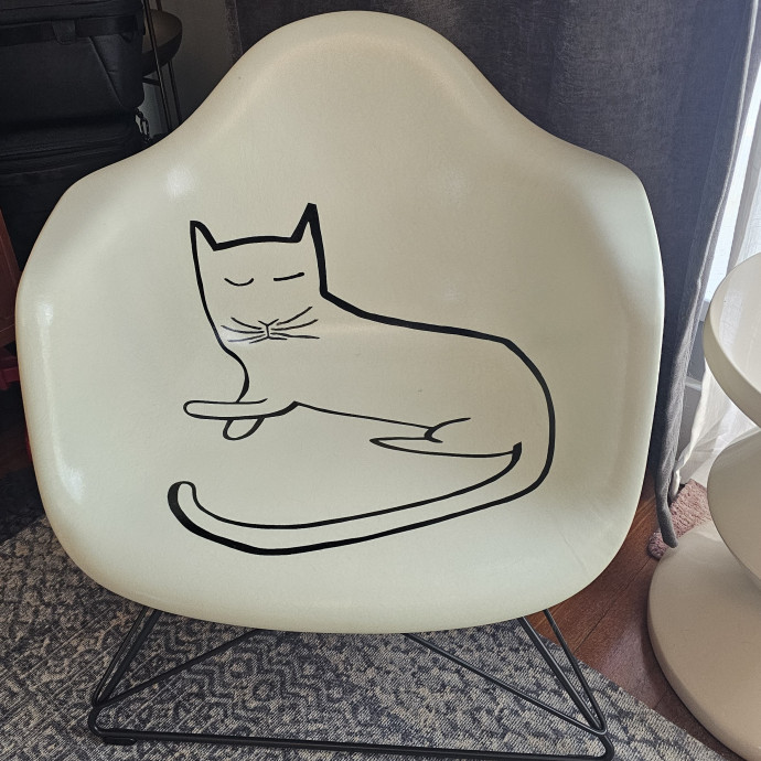 Quintessential Cat Person photo 2